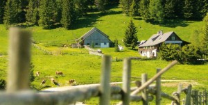 Teichalm - Harrer-Hütte